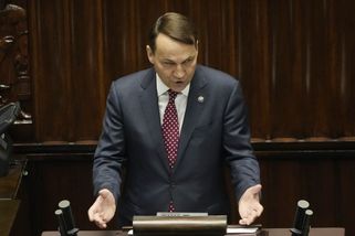 Pokud Putin na Ukrajině vyhraje, udělá s ní totéž co Hitler s Československem, varoval Sikorski - Novinky